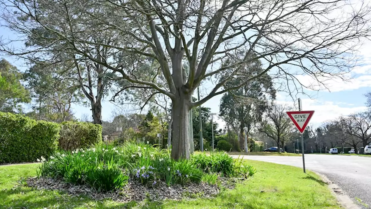 What you can and can't do on the nature strip outside your Canberra home