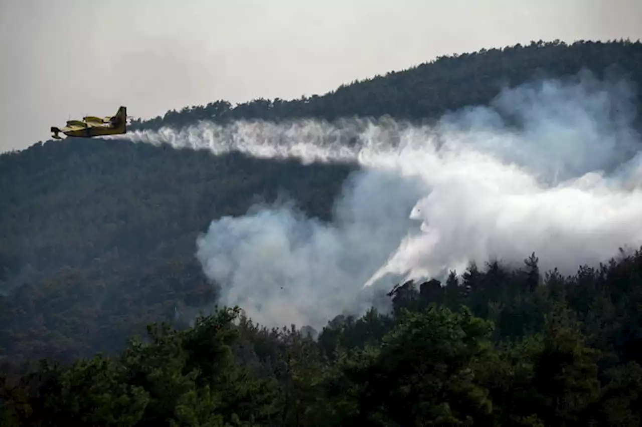 Grecia,aree bruciate da incendi supereranno 150mila ettari - Notizie