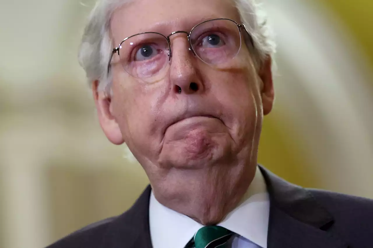 Mitch McConnell Freezes While Addressing Reporters, Mirroring July Incident