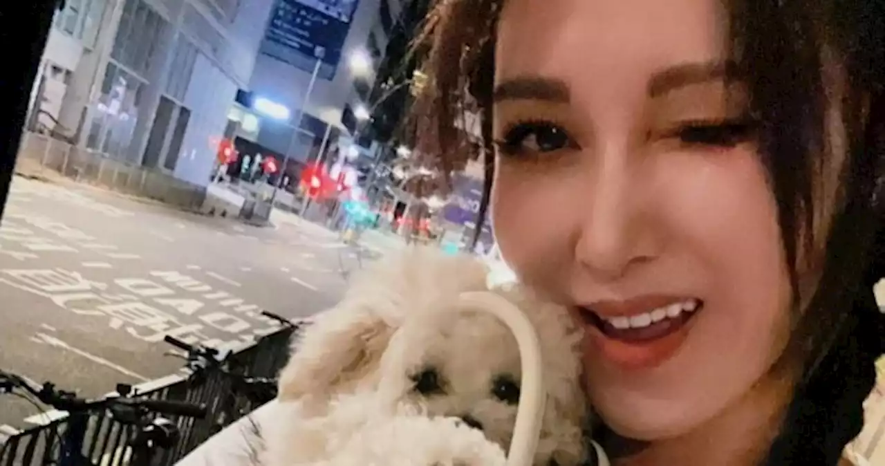 Hong Kong actress Rain Lee brings dog out for walk in Hermes Birkin bag