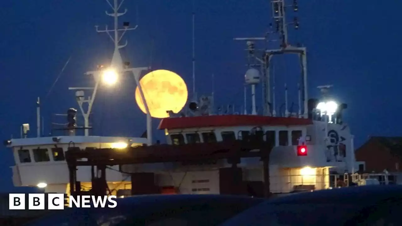 Blue supermoon pictured in skies above Yorkshire and Lincolnshire