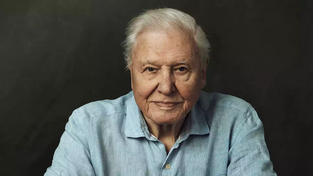 Sir David Attenborough to present Planet Earth III