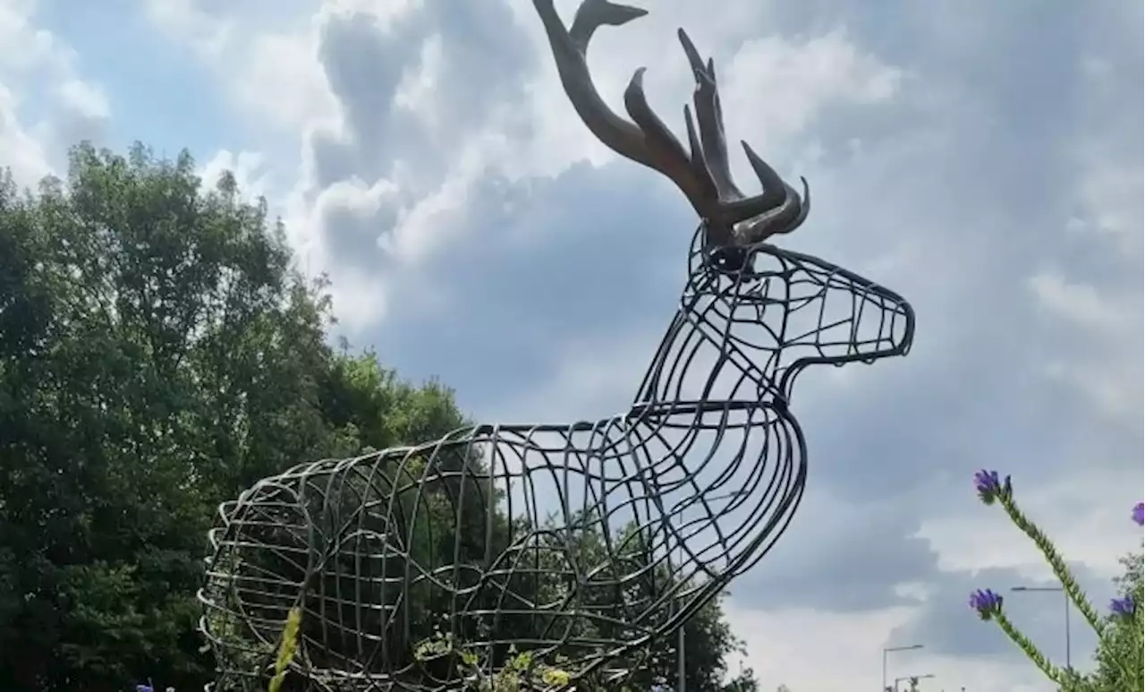 Welder speaks out as hunt for Walt the Walton-le-Dale stag statue continues