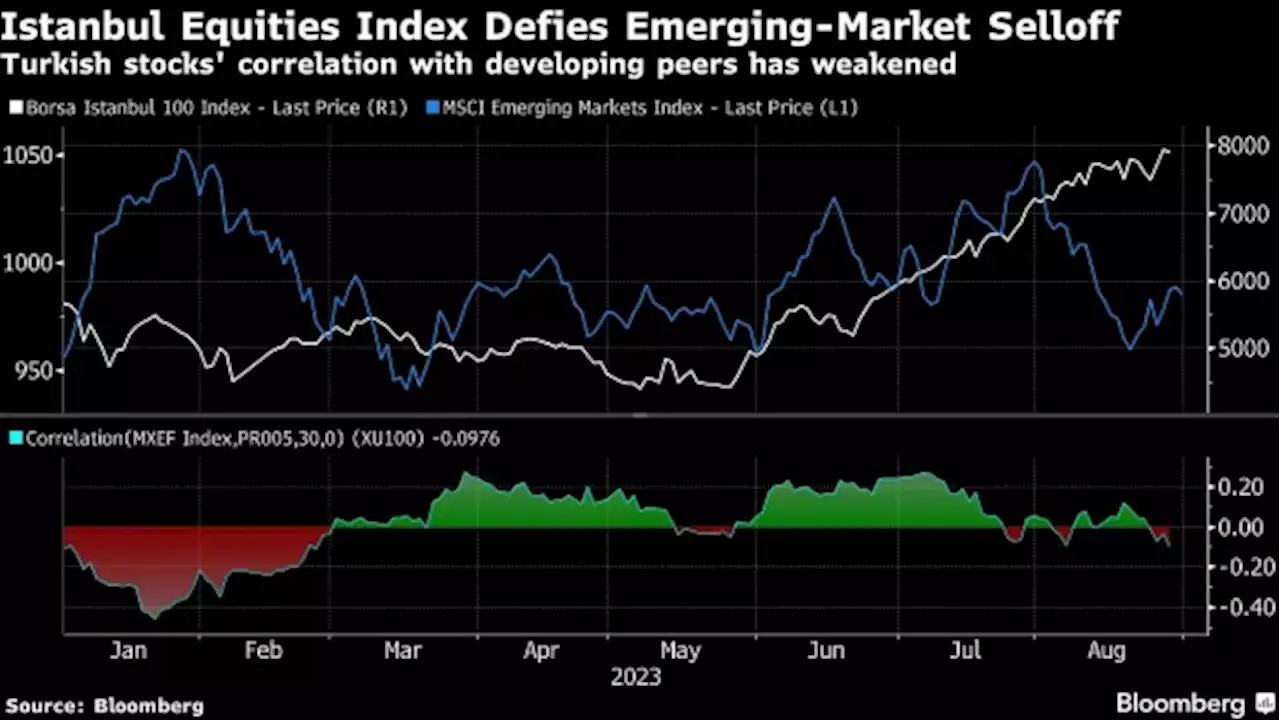 Egypt and Turkey Emerge as Unlikely Havens From China’s Troubles