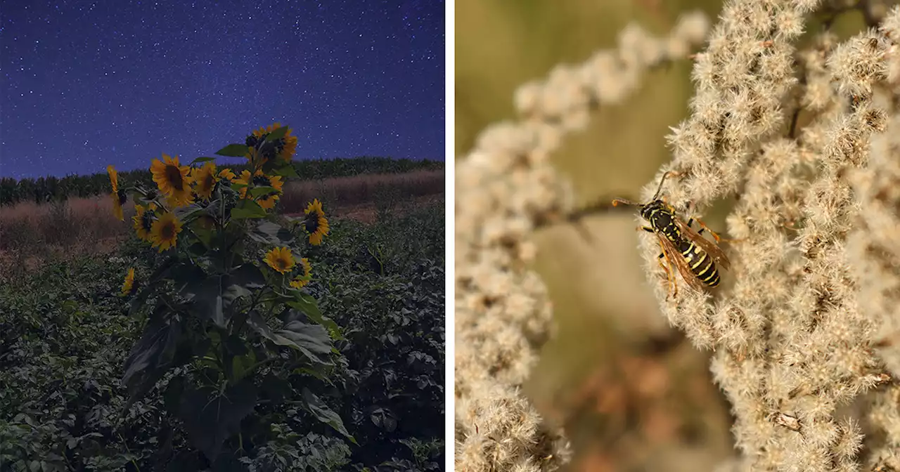 I Photographed This Ukrainian Village Because It Is My Solace That Inspires Me (38 pics)