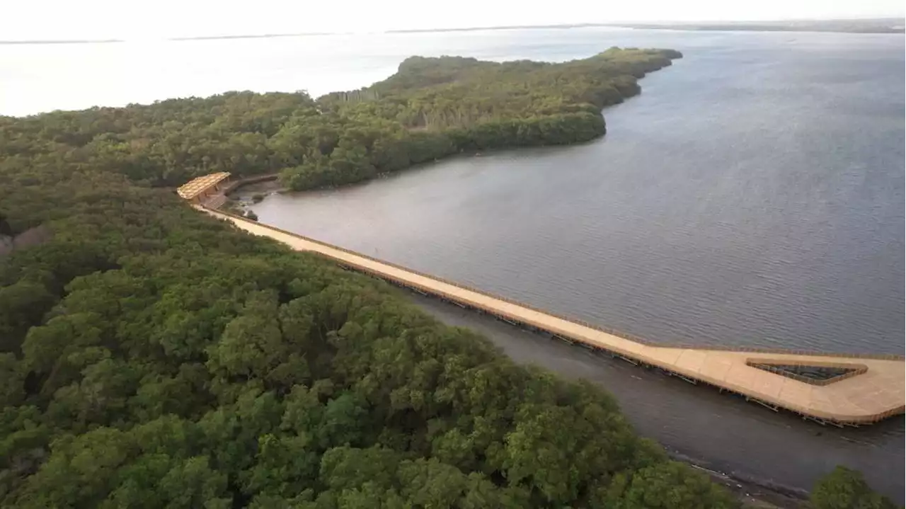 Barranquilla, la ciudad verde que apuesta a la conservación y cuidado del medio ambiente