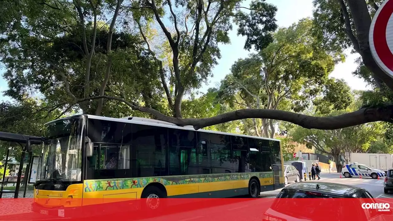 Carris Metropolitana com 80 autocarros elétricos na margem norte do Tejo