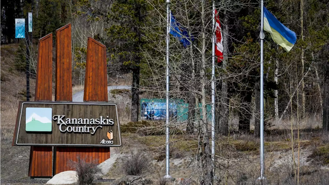 Ottawa investigating logging company over bridge in Alberta's Kananaskis Country