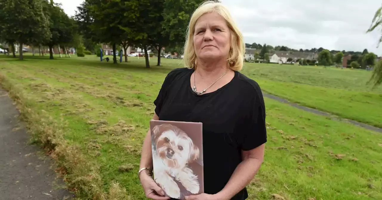 Devastated owner calls for public signs after dog dies of suspected weed killer