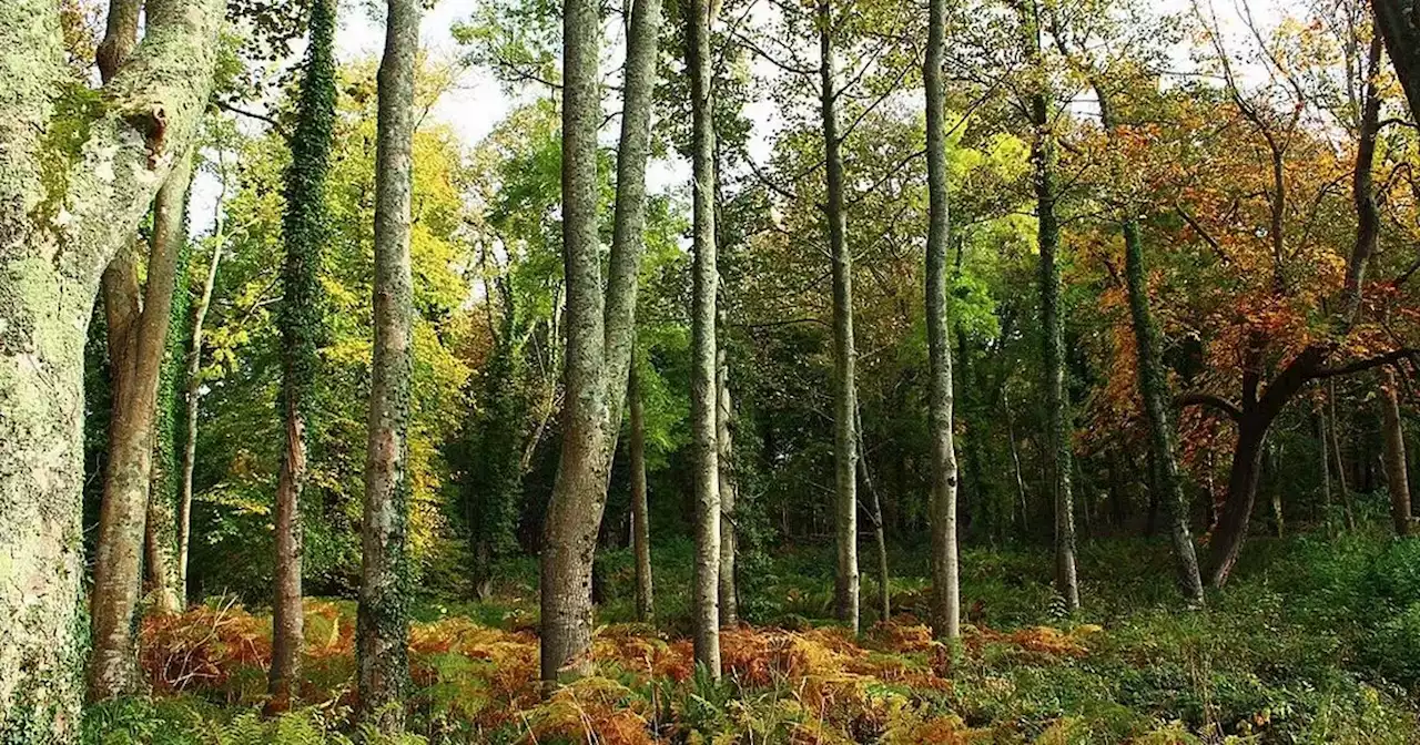 The best walks in Scotland for the whole family this September