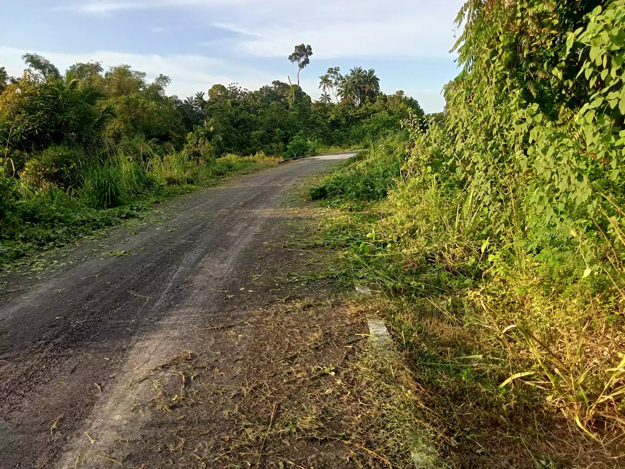 Penduduk Kuala Penyu kecewa rumput dipotong secara semberono