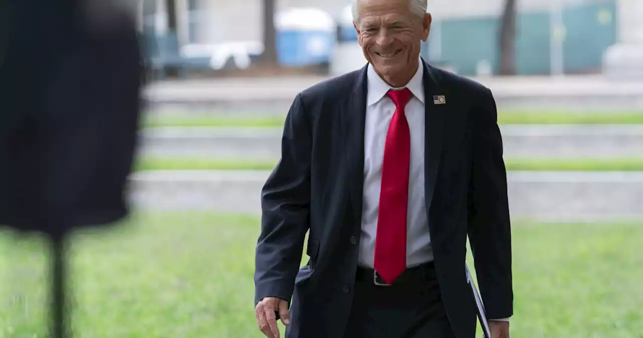 Peter Navarro tries to snatch 'Trump Lost' sign after judge greenlights contempt trial