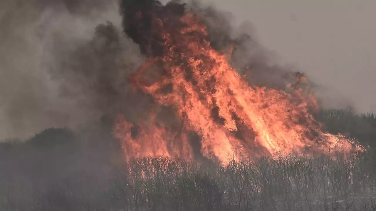 - Weitere Feuerwehrleute zu Waldbrand im Nordosten entsandt