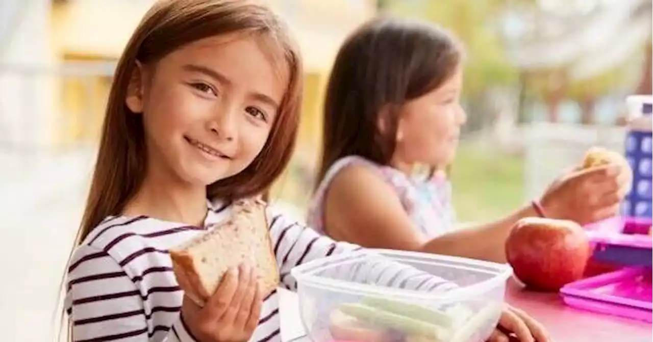 Yummy Lunch Ideas To Spice Up Back-To-School Time