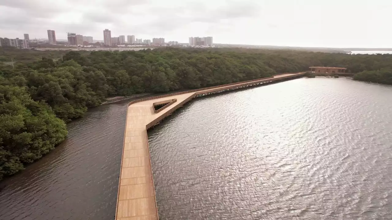 “La ciénaga estaba destinada a desaparecer y hoy es un ecoparque”: Pumarejo