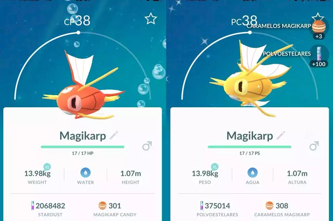 - how to catch Shiny Magikarp, Red Gyarados, and what we know about other Shiny Pokémon