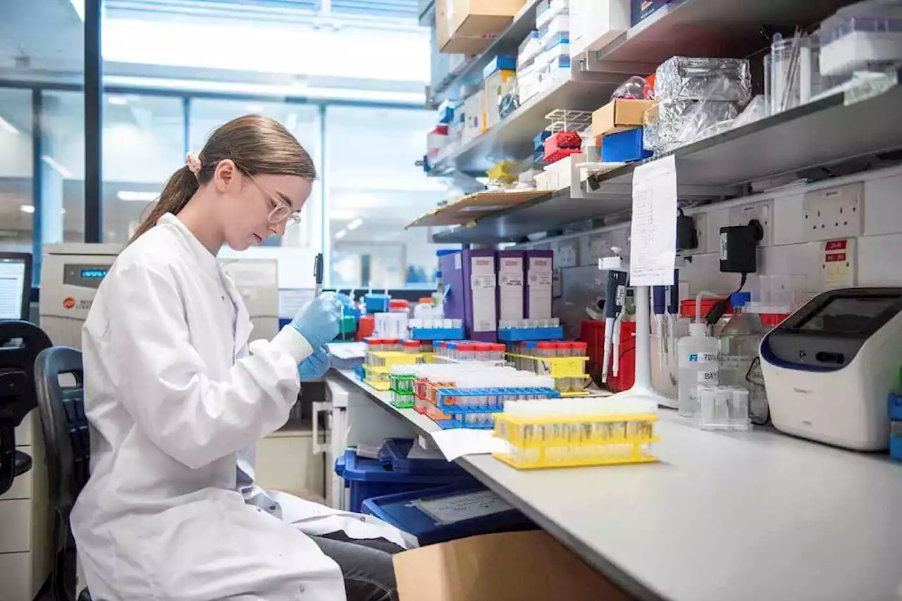 Reino Unido aprueba una inyección que trata el cáncer en siete minutos