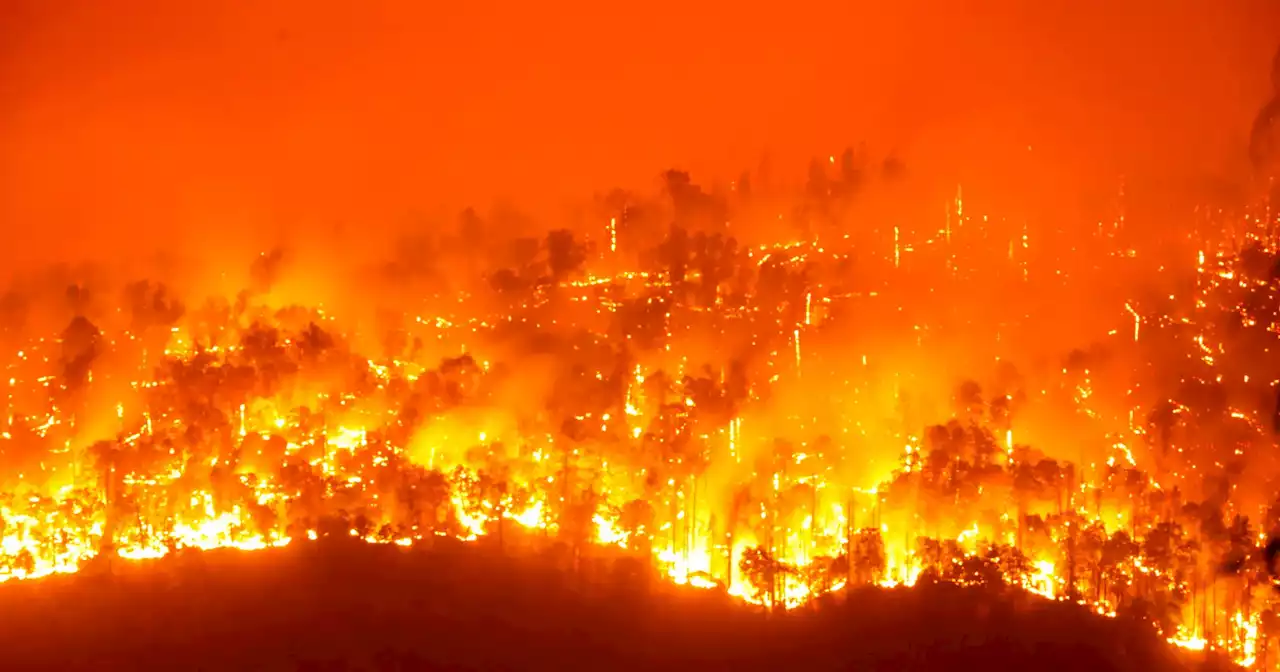 Incêndios: detido em Ponte da Barca tinha fascínio por fogo e pela movimentação de meios