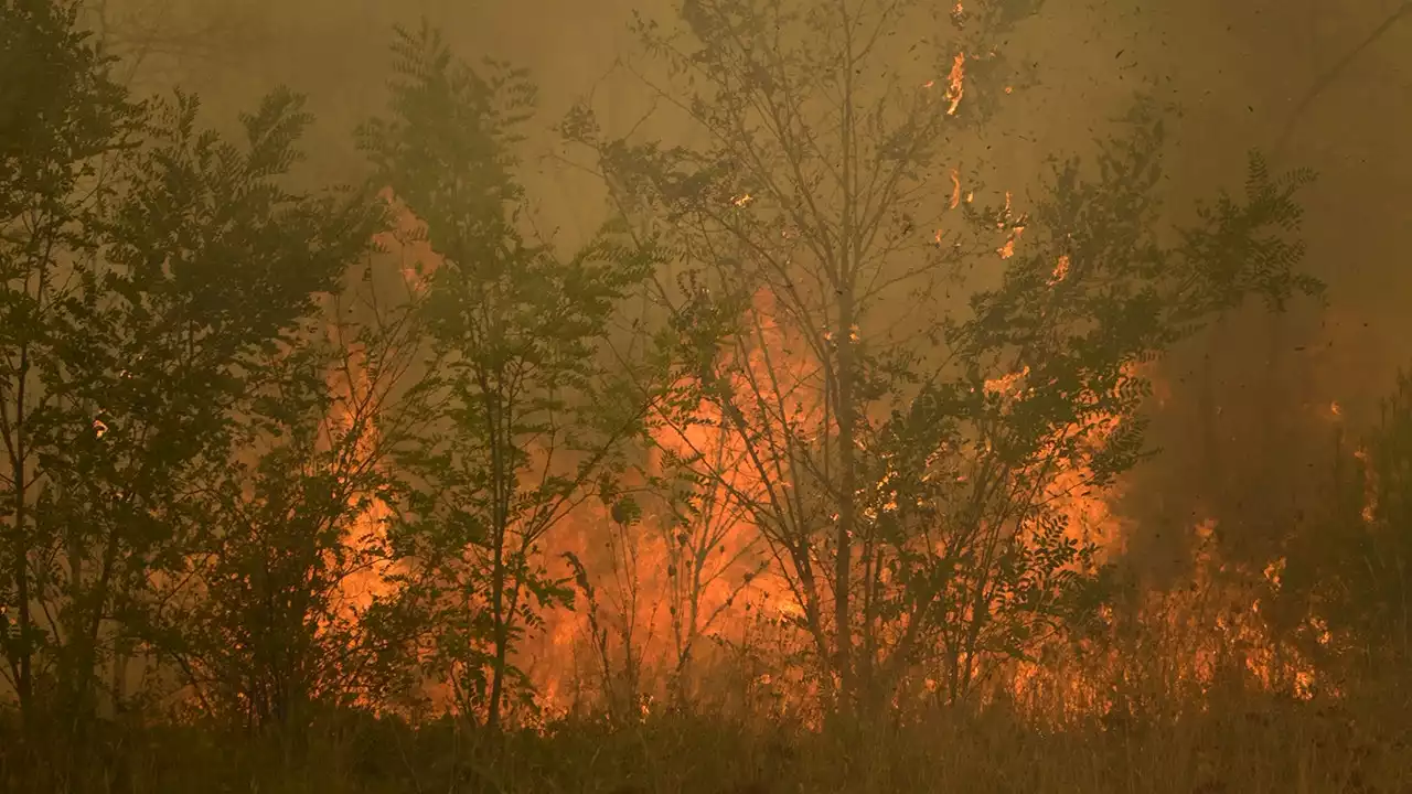 Greece sends 100 more firefighters to country's northeast as blaze flares up in 13th day