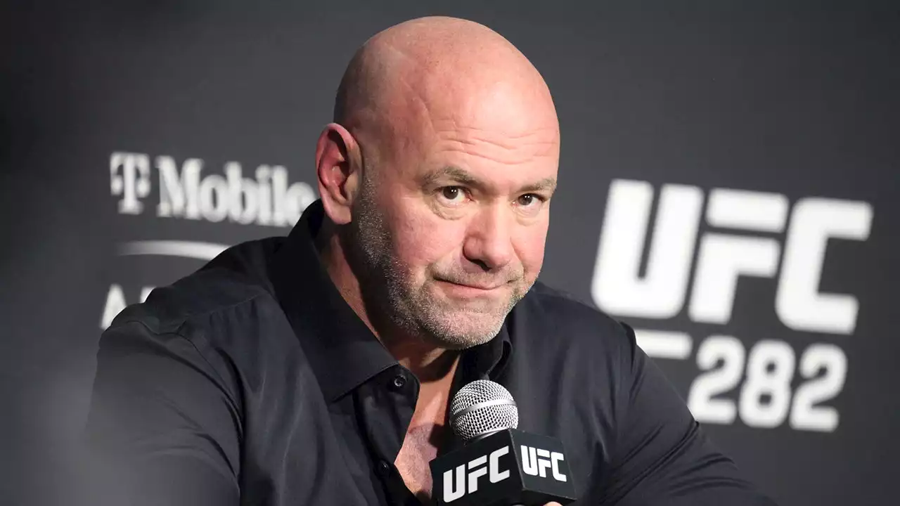 UFC's Dana White rejoices after police make arrest in attempted home invasion: 'They got em'