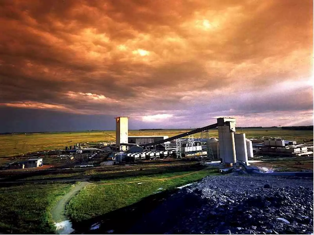 Harmony Gold offers up 'blueprint' to thwart spiralling illegal mining