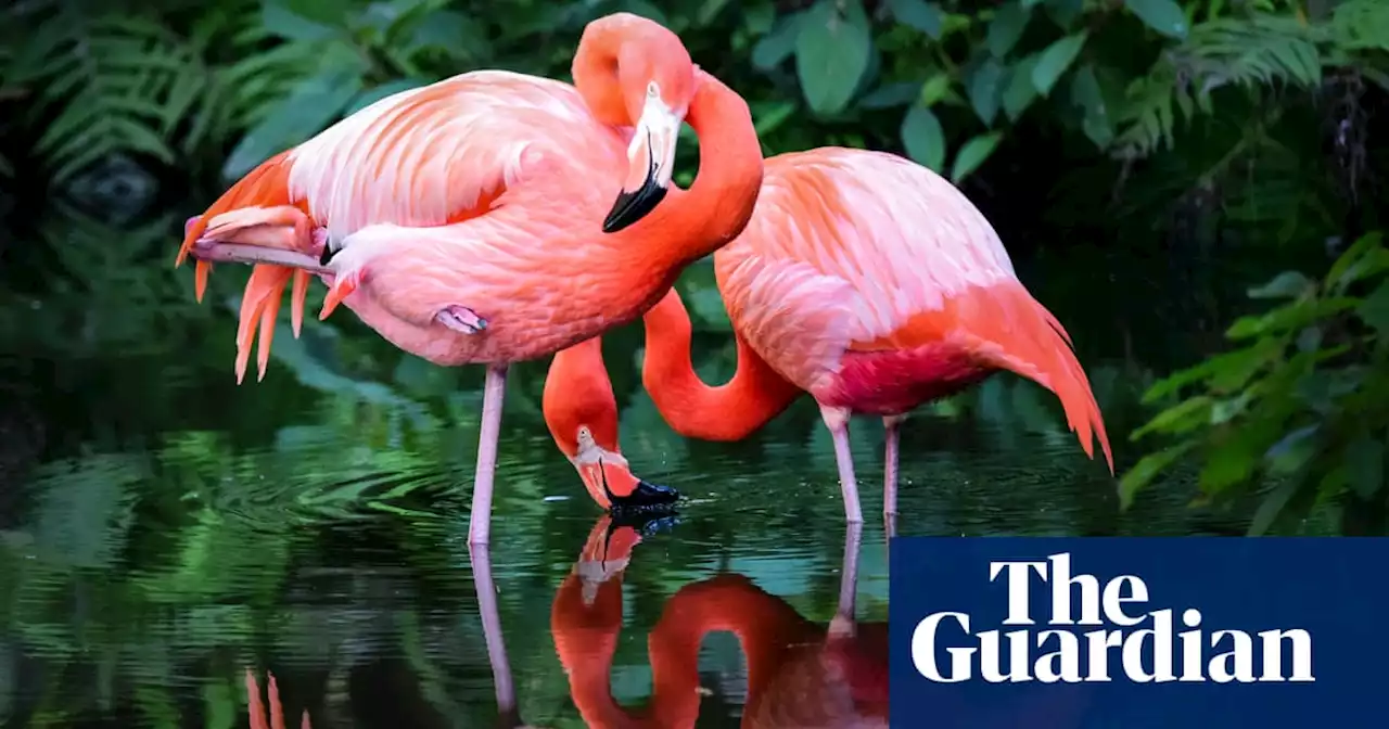 Fifth of known species on Earth found in Unesco world heritage sites