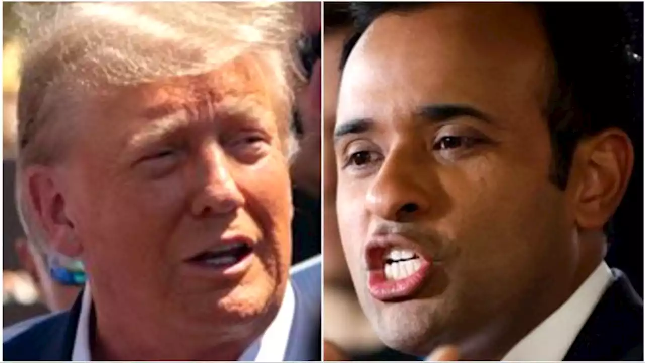 Donald Trump Likes Vivek Ramaswamy As Possible VP For Trumpiest Reason