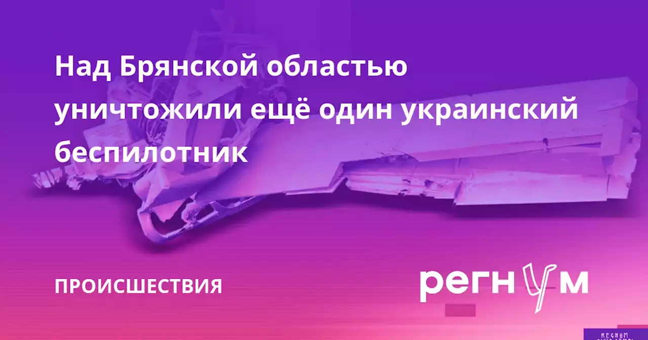 Над Брянской областью уничтожили ещё один украинский беспилотник