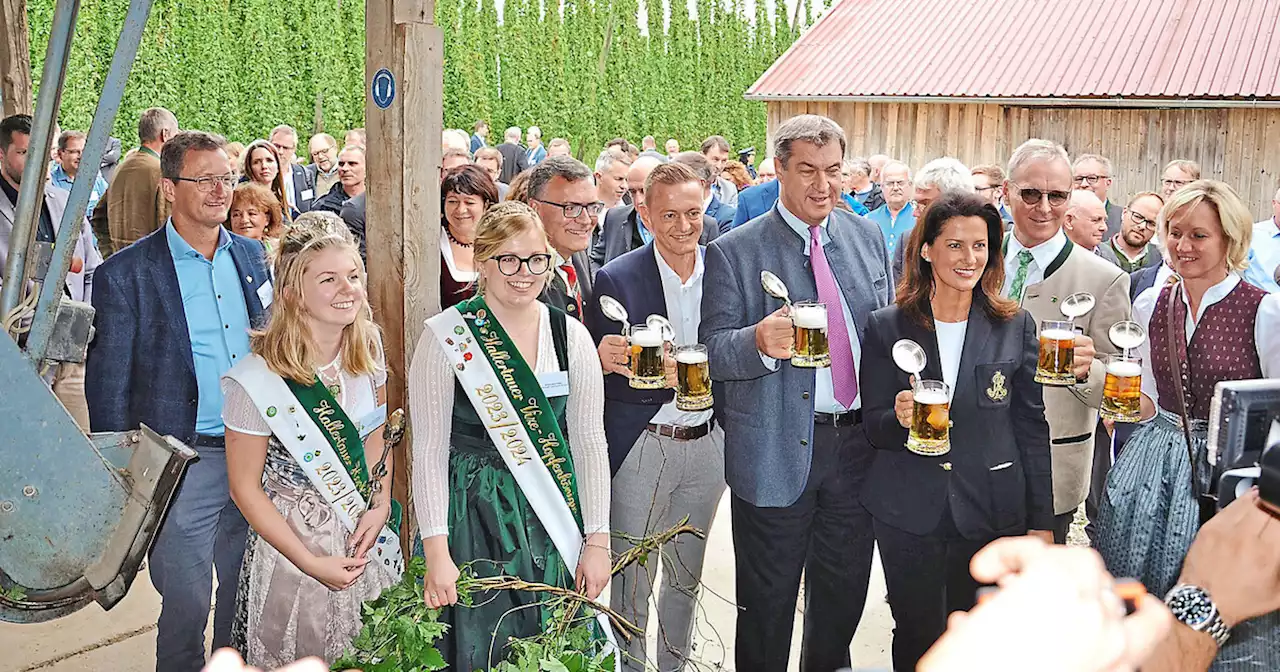 Politik sagt Hallertauer Hopfenbauern Hilfe zu