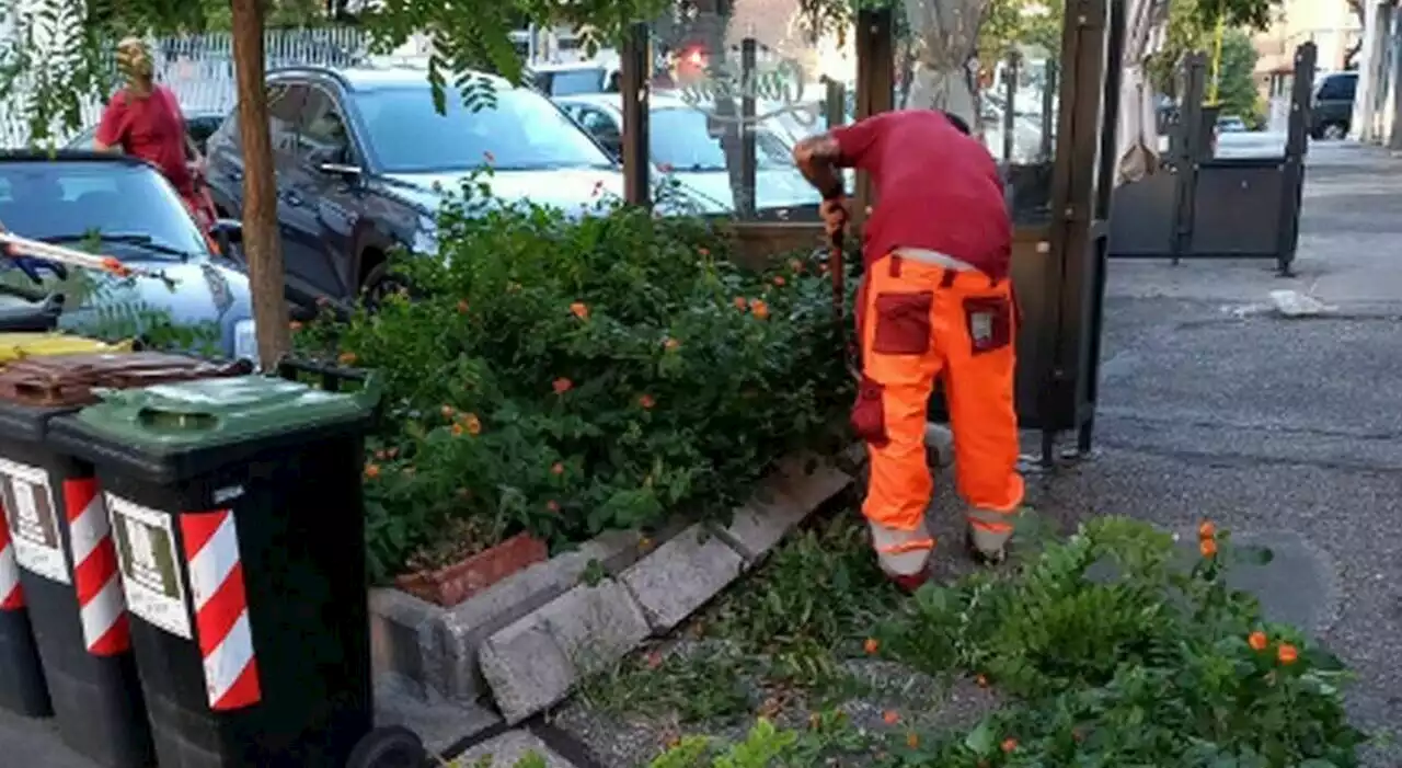 Roma Tre, via bottiglie e immondizia: ripulita dall'Ama la strada d'accesso a Ingegneria civile e informatica