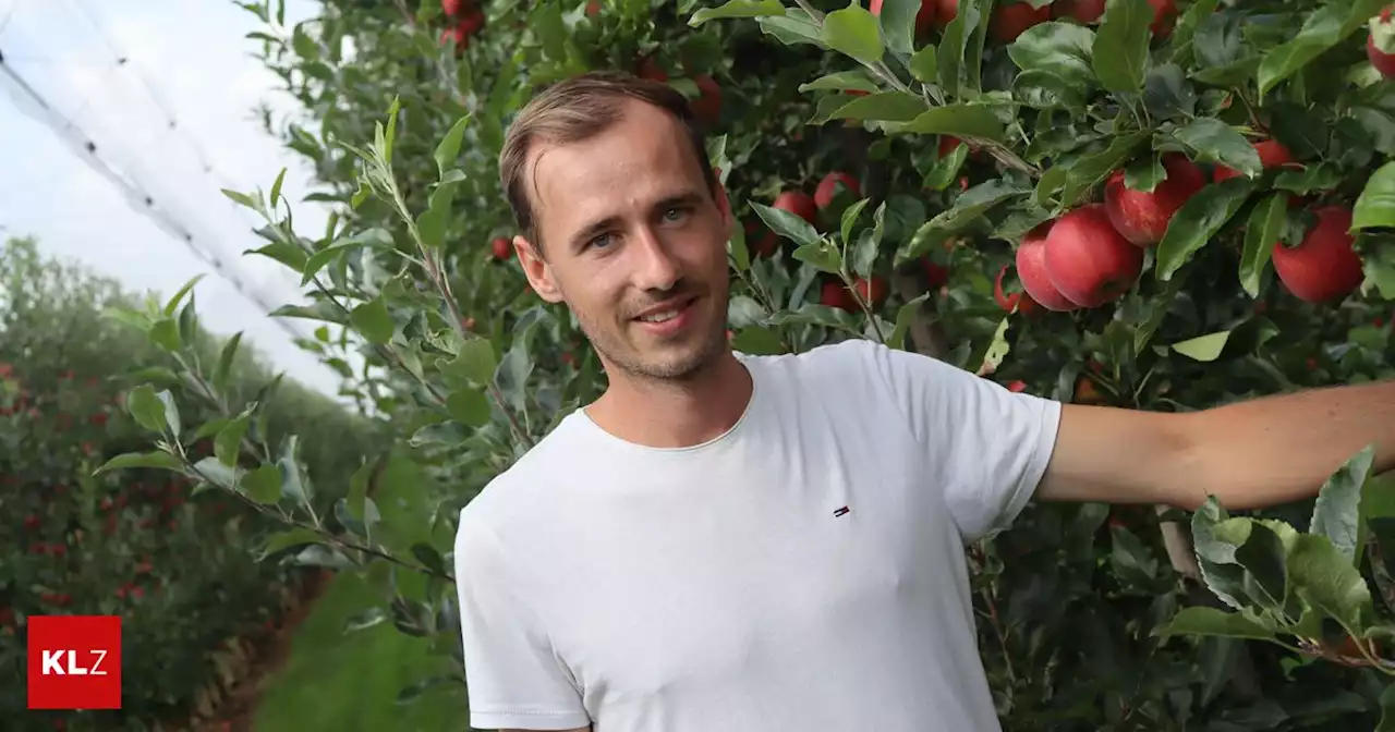 Druck vor der Apfelernte: Apfelbauern befürchten ein saftiges Minus