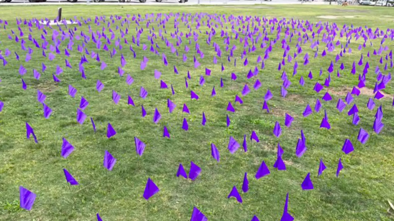 San Diego County leaders commemorate Overdose Awareness Day -