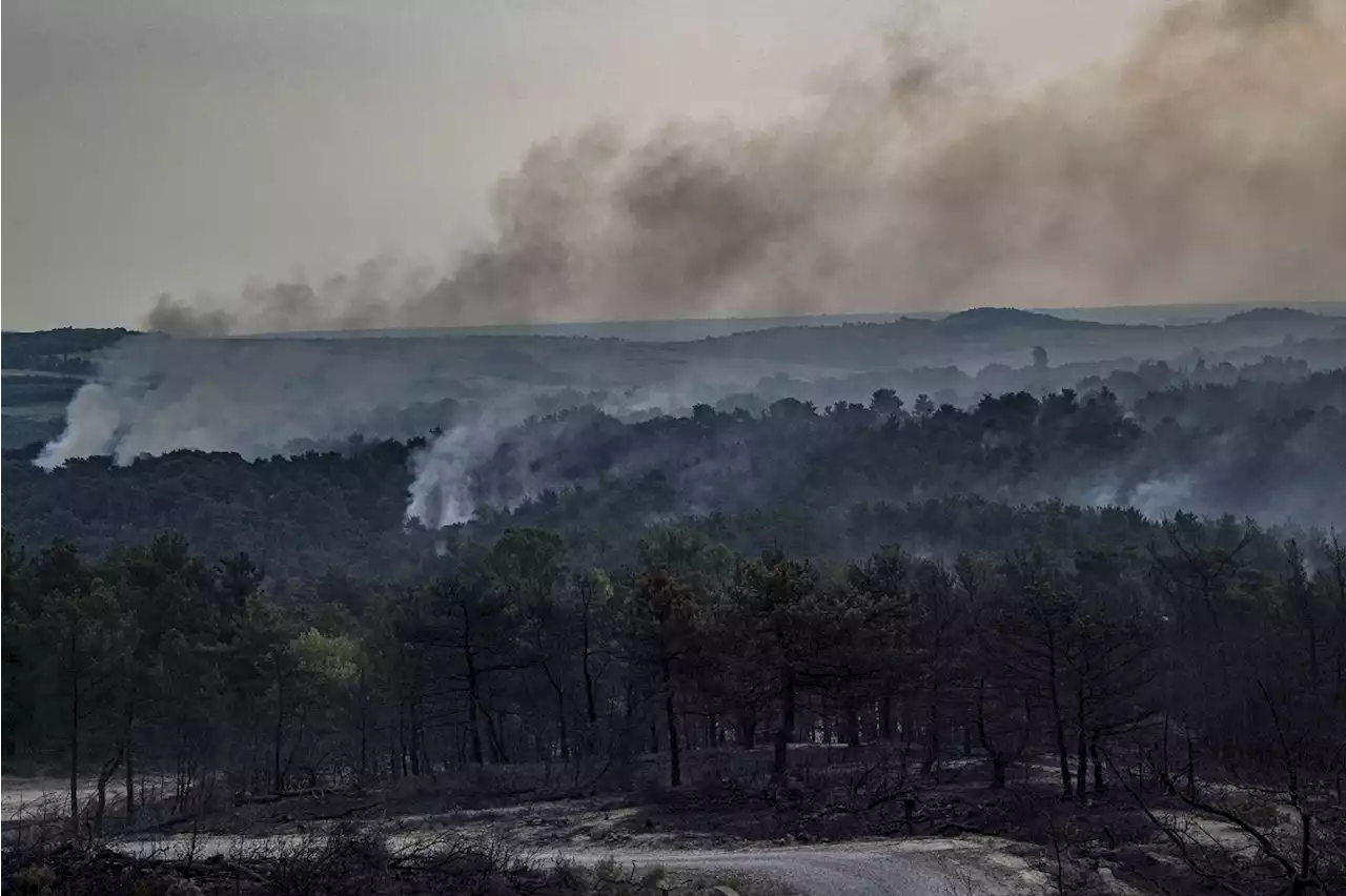 Incendies de forêt en Grèce : au moins 150.000 hectares touchés