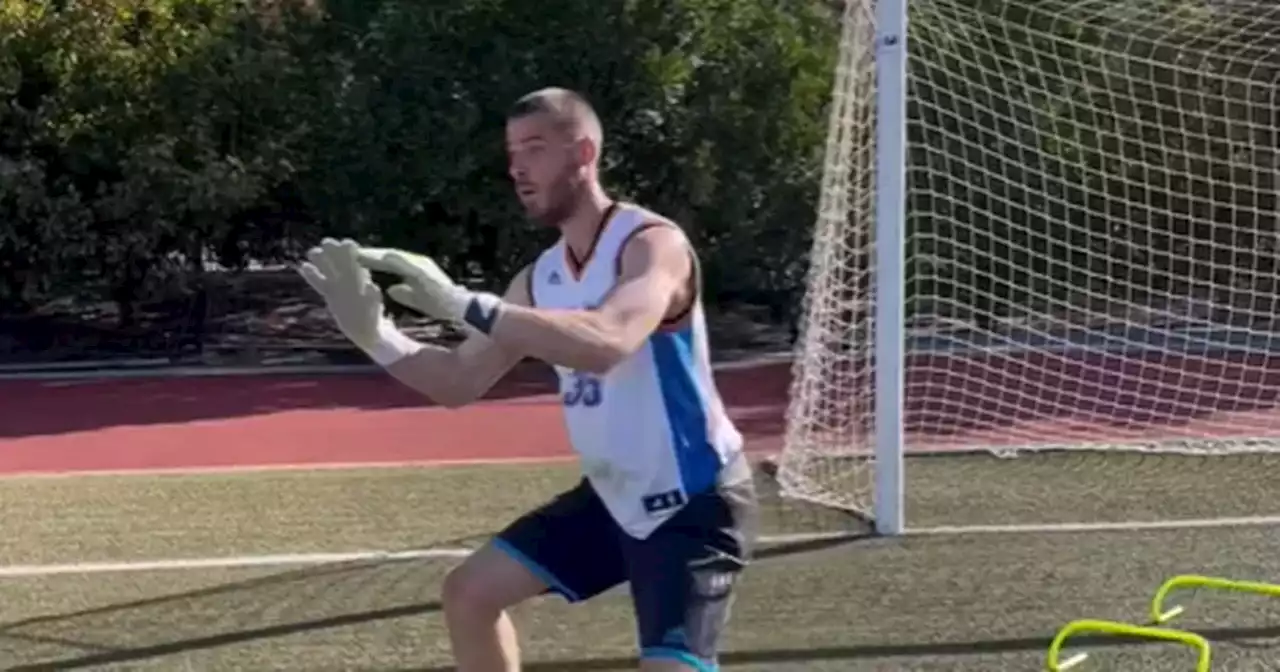 David de Gea training footage shows Manchester United might owe him something