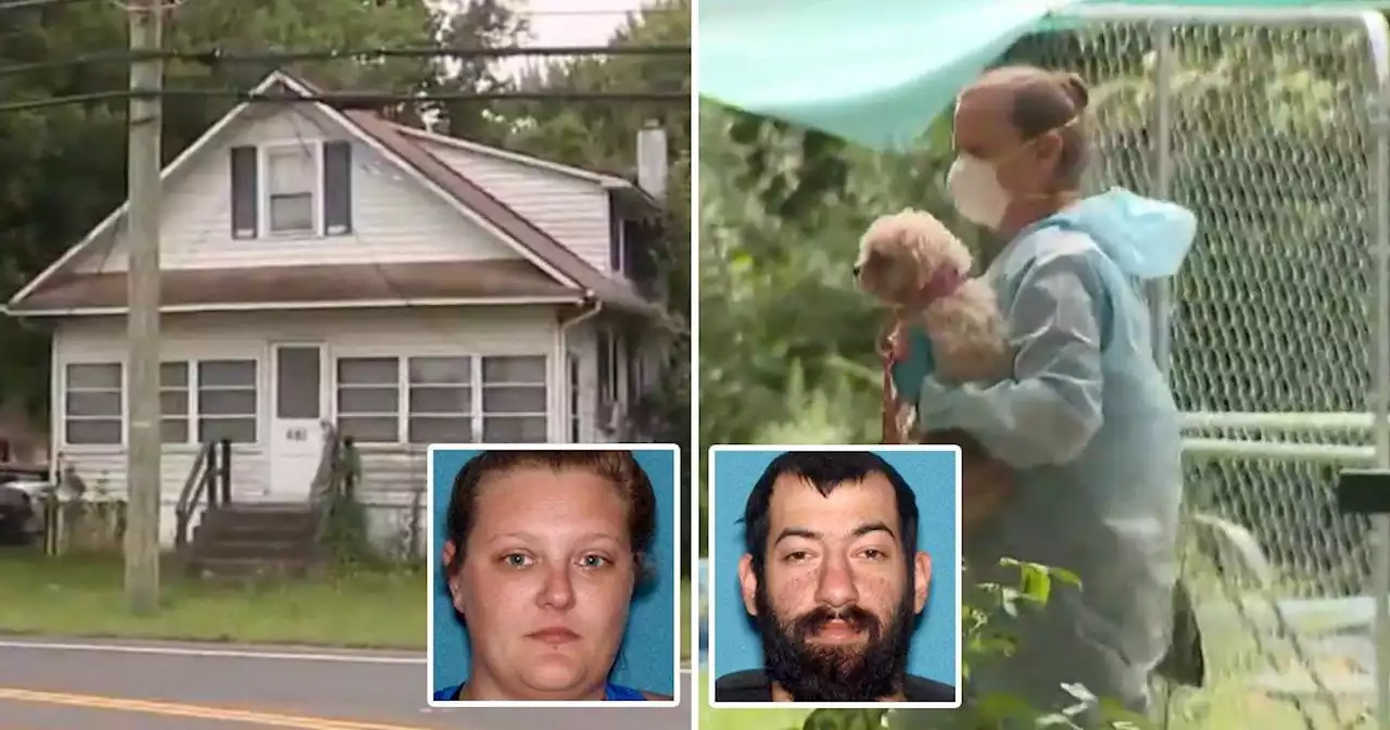 Child found in 'despicable condition' house surrounded by at least 30 dead dogs