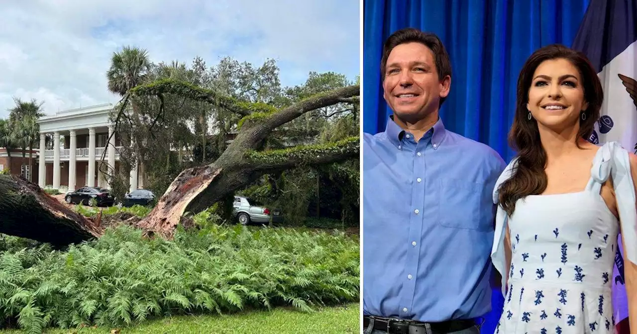 Hurricane Idalia rips 100-year-old tree in half as it falls on DeSantis' mansion