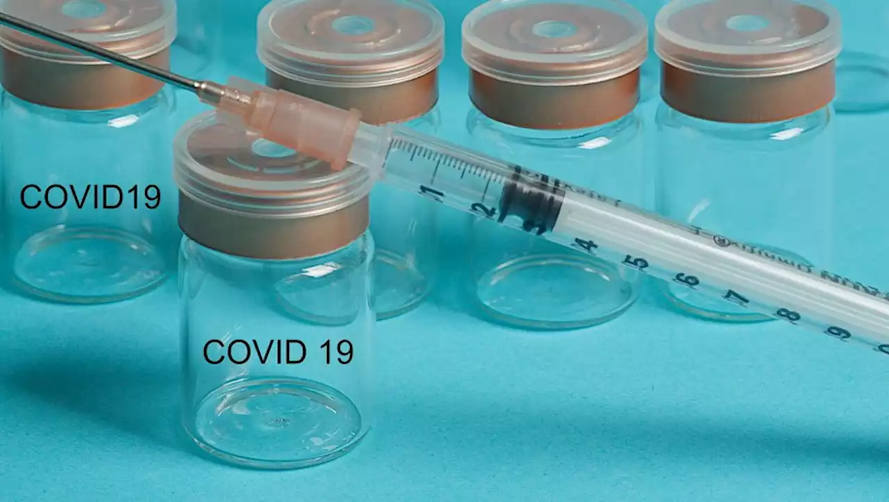 Covid-19 : quelle est cette nouvelle version du vaccin de Pfizer qui vient d'être approuvée en Europe ?