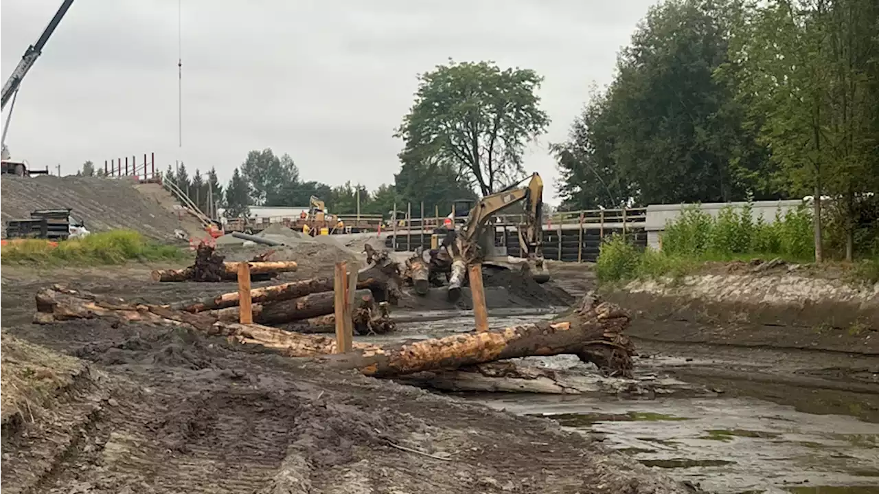 Thousands of fish removed from the Hylebos Creek