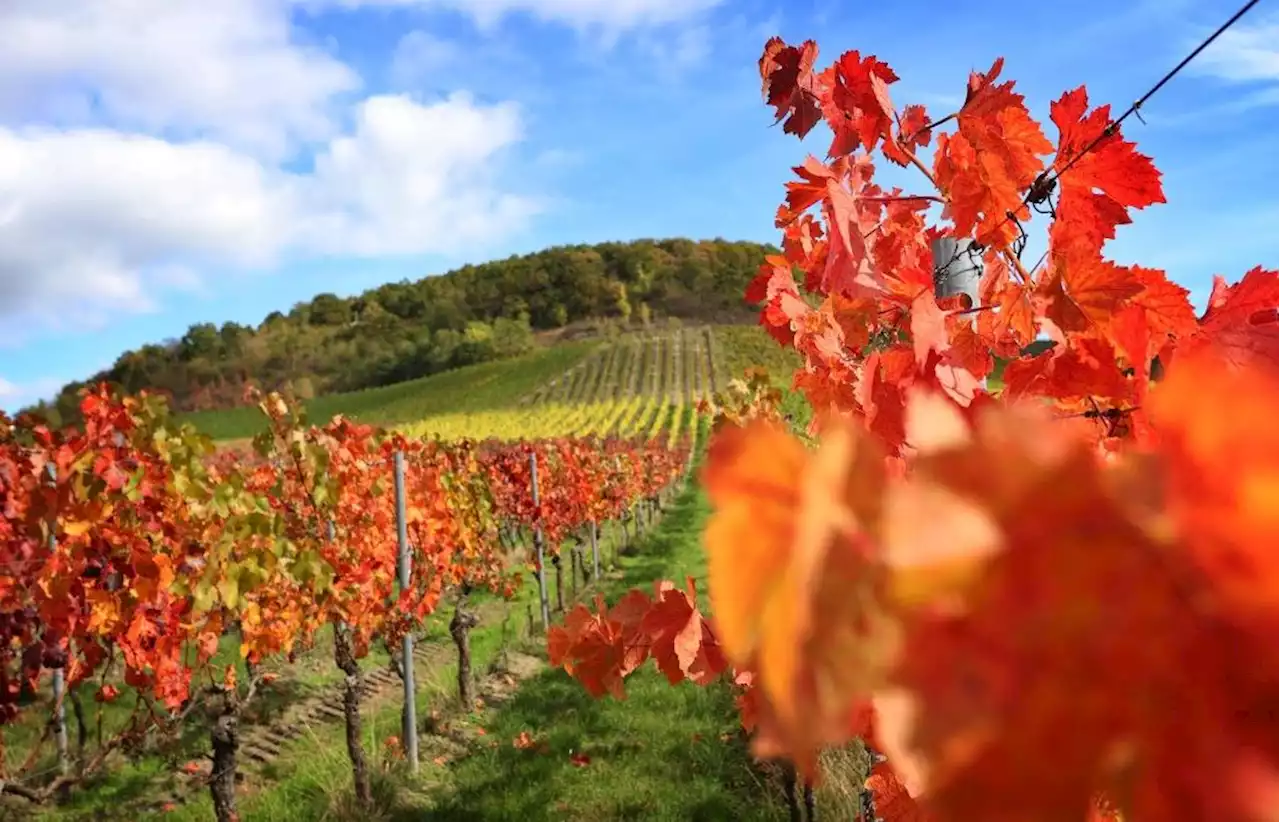 Vorhersage: Auf herbstliches Wetter folgt der Spätsommer