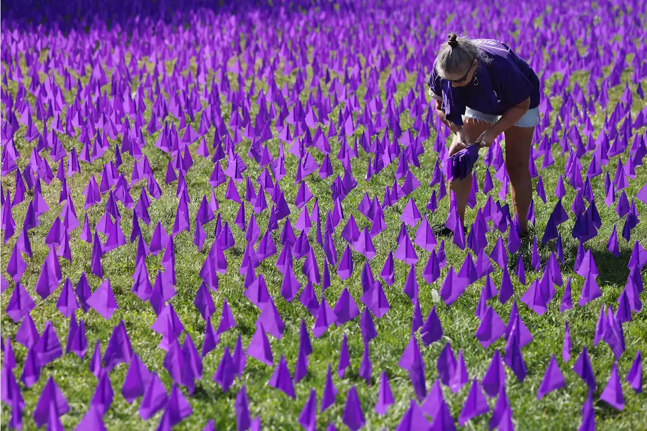 Thousands of flags to be planted on Boston Common for Overdose Awareness Day