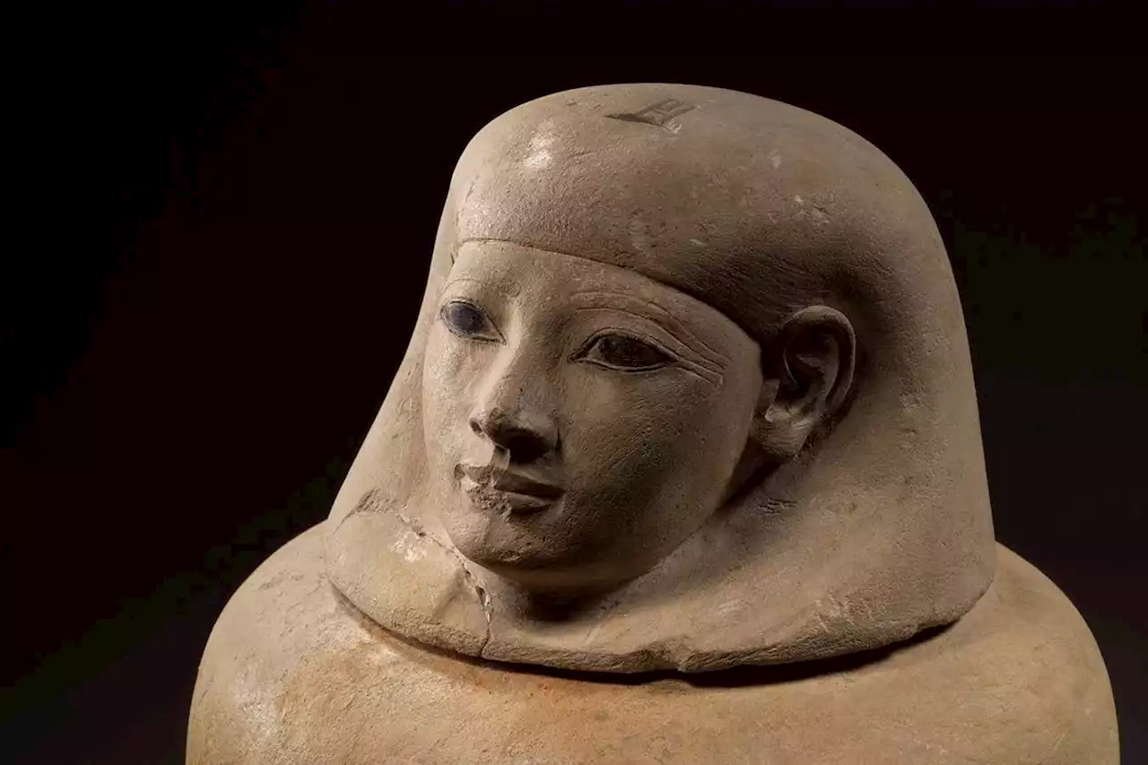 'Scent of eternity' worn by ancient Egyptian mummy has been revealed