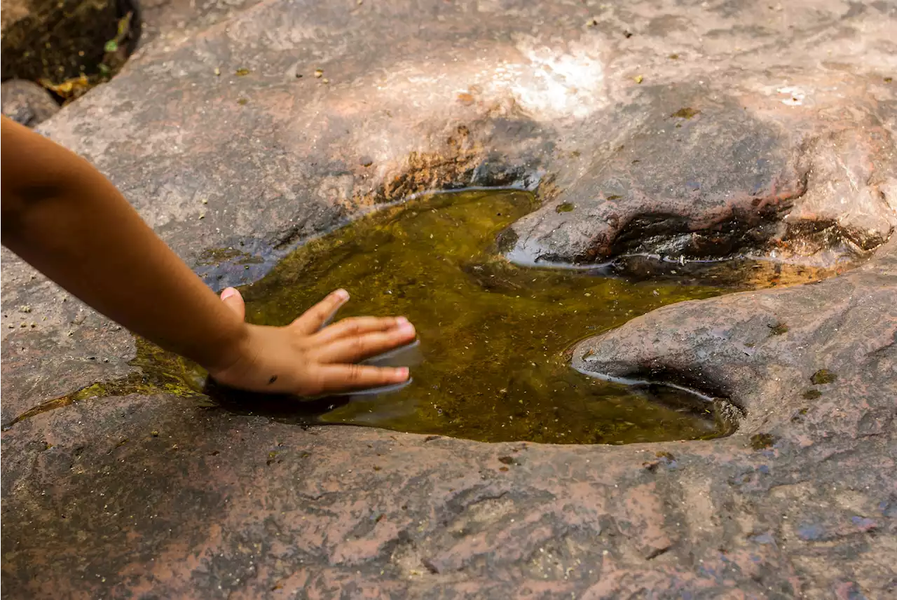 Dinosaur footprints emerge amid severe drought in Texas