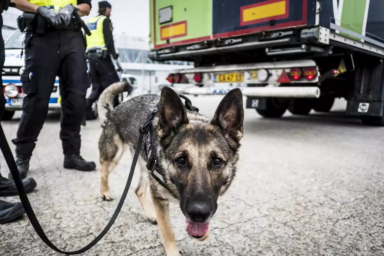 800 kilo av ”Kurdiska rävens” knark i beslag