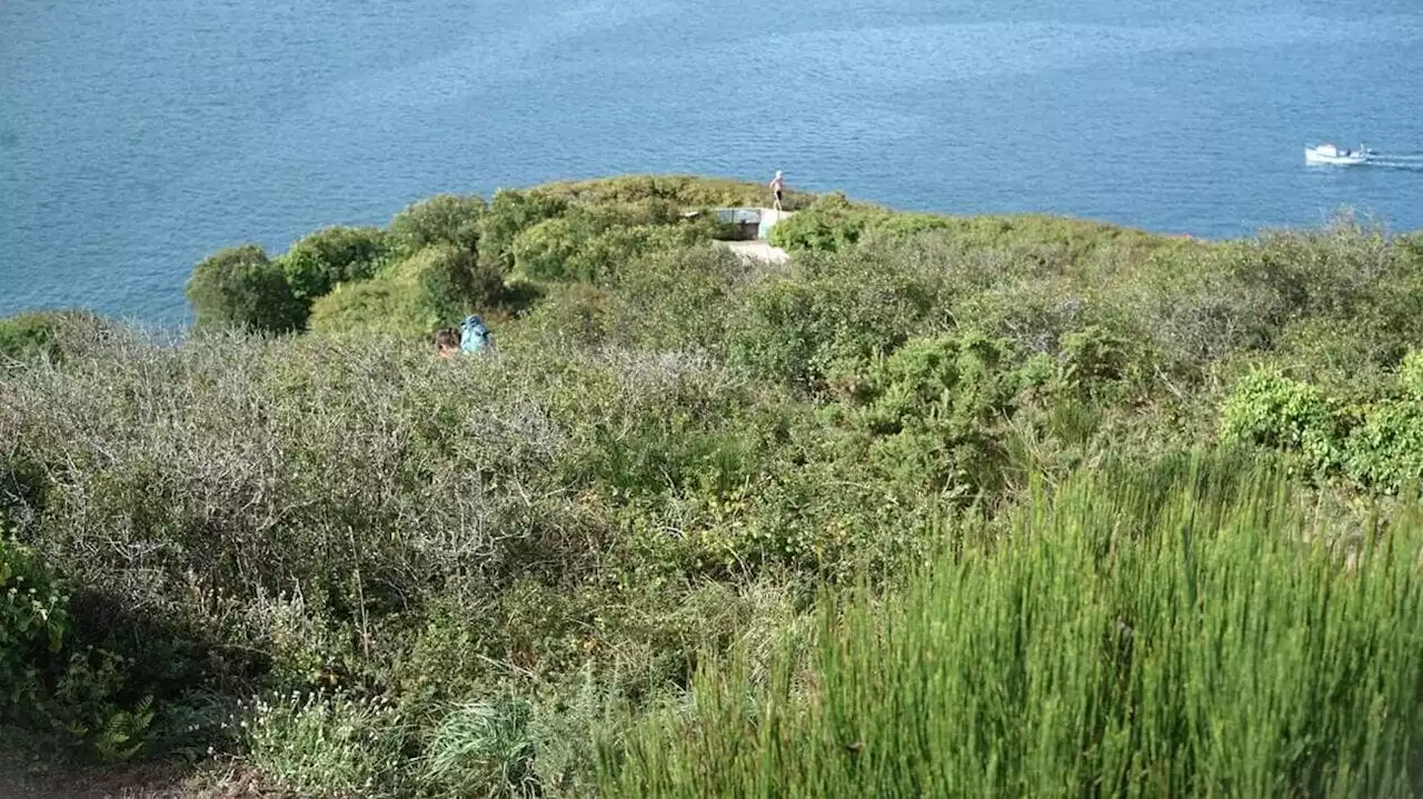 En Bretagne, des sentiers de ce circuit de randonnée cachent des rencontres intimes