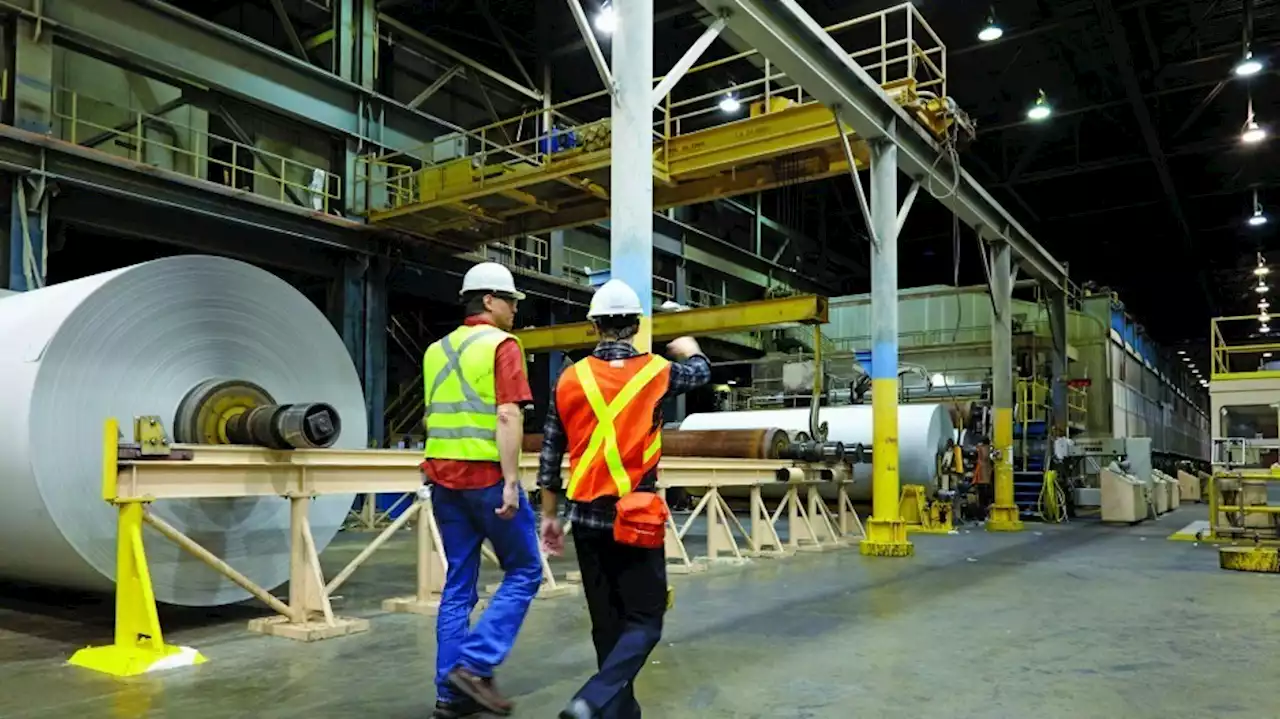 Crofton paper mill workers anxious over another delayed restart