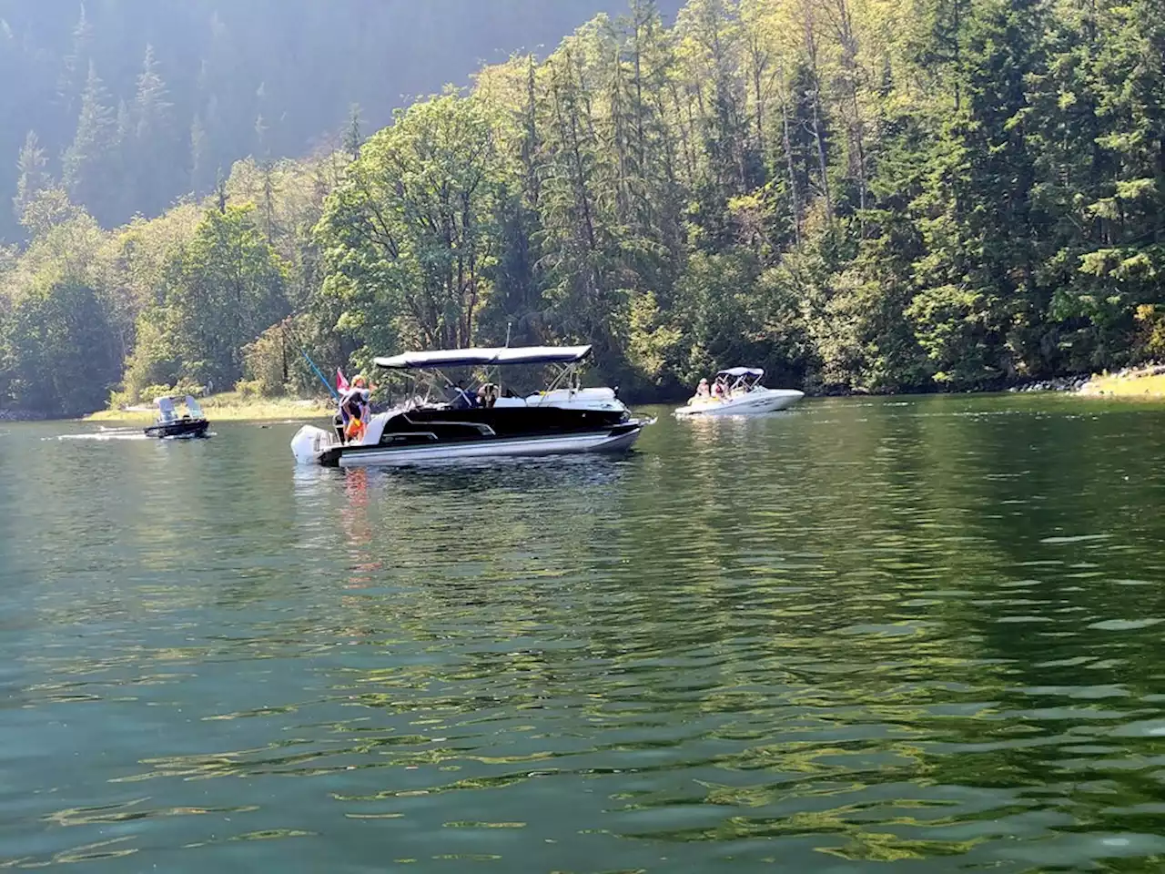 Salmon surge leads to 'rampant illegal fishing' in Metro Vancouver