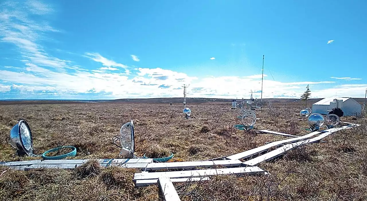 Arctic soil methane consumption may be larger than previously thought and increases in a drier climate