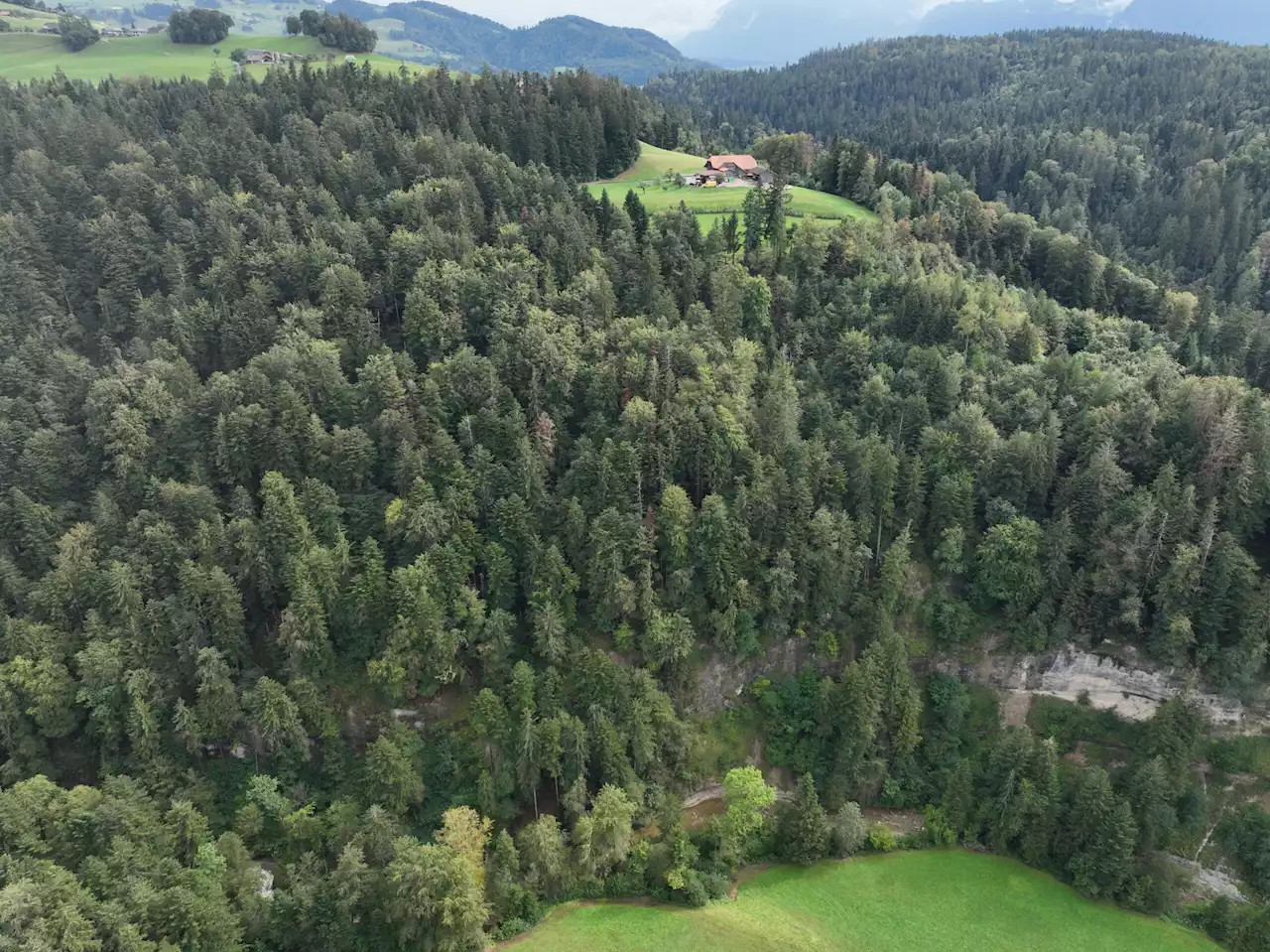 Thun/Fahrni bei Thun BE: Vermisster Mann verstorben aufgefunden