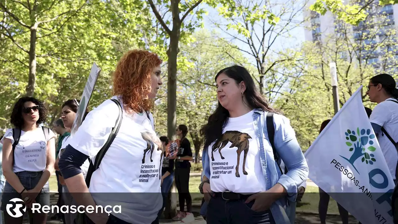 Lisboa acolhe marcha pelos direitos dos animais este sábado