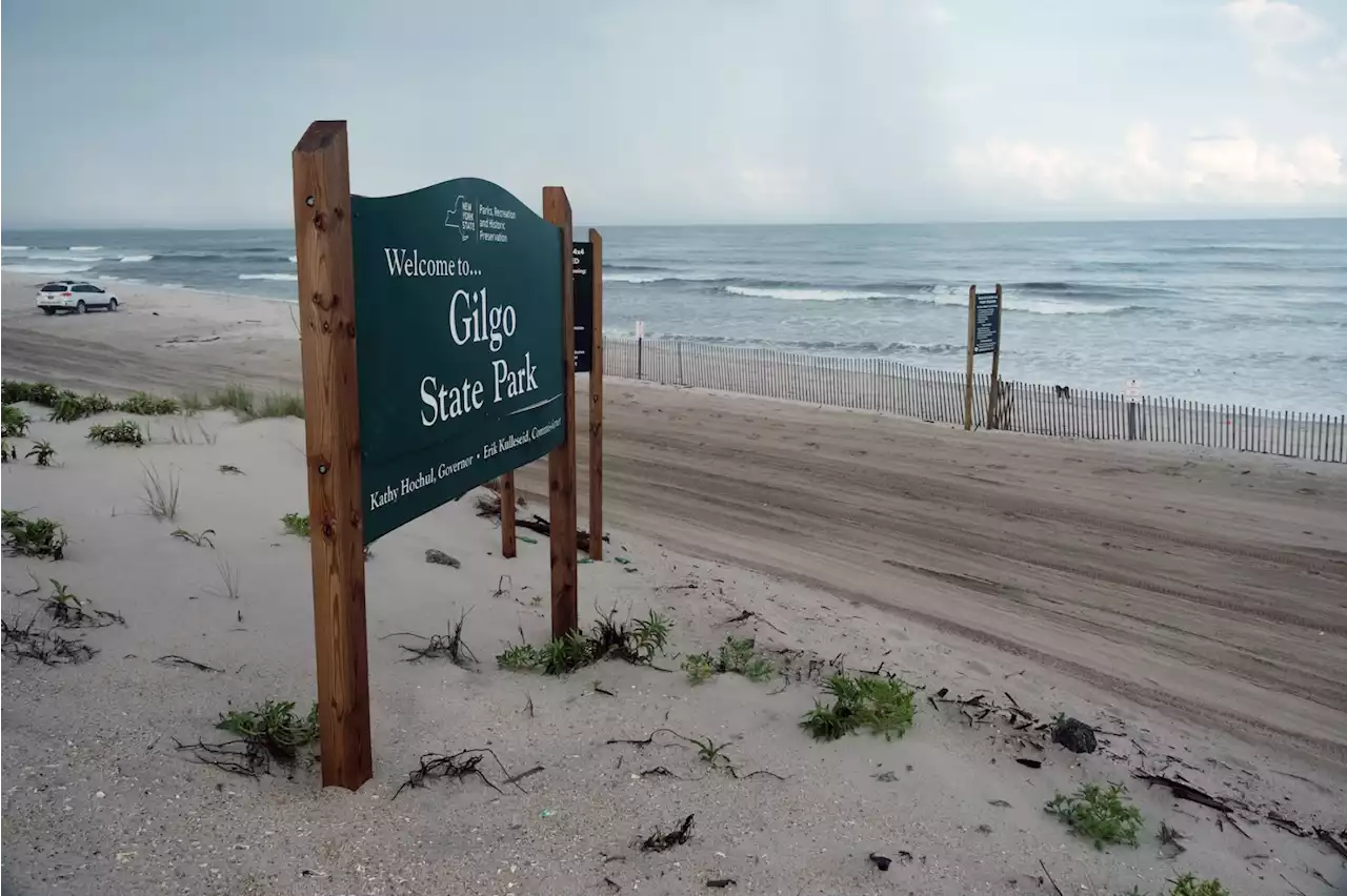 Long Island Serial Killer and Still-Unsolved Gilgo Beach Murders Focus of Upcoming Netflix Docuseries